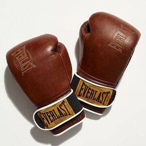 Everlast boxing gloves